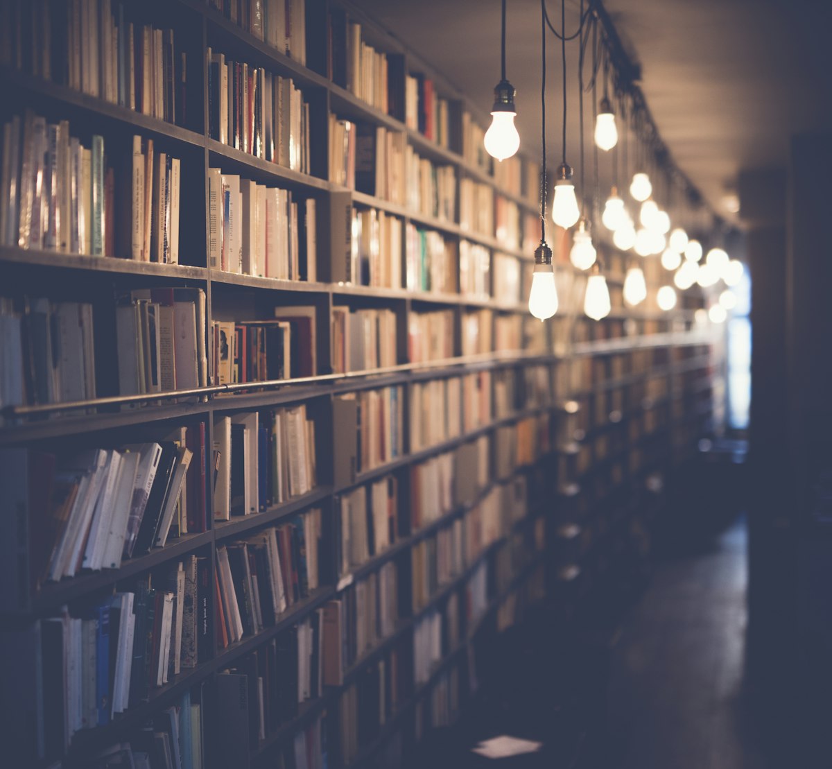 Self-Publishing vs Traditional: Which Path is Right for You?
