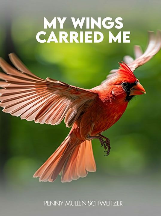 My wings carried me